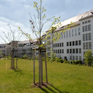 Bouwfonds Immobilienentwicklung M”nchberg Park W�rzburg, 12.300mı